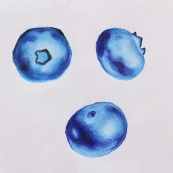 IMG_0003 "Blueberries" Fine Art Print 8'x11'